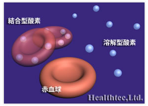 結合型酸素、
溶解型酸素