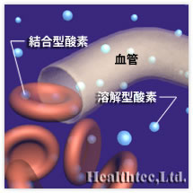 結合型酸素、
溶解型酸素